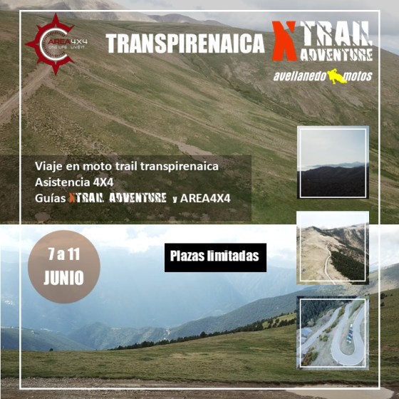 transpirenaica